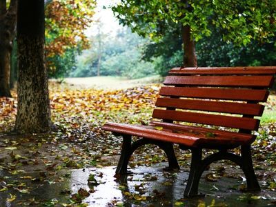 Porady dotyczące wyboru odpowiedniej ławki do parku